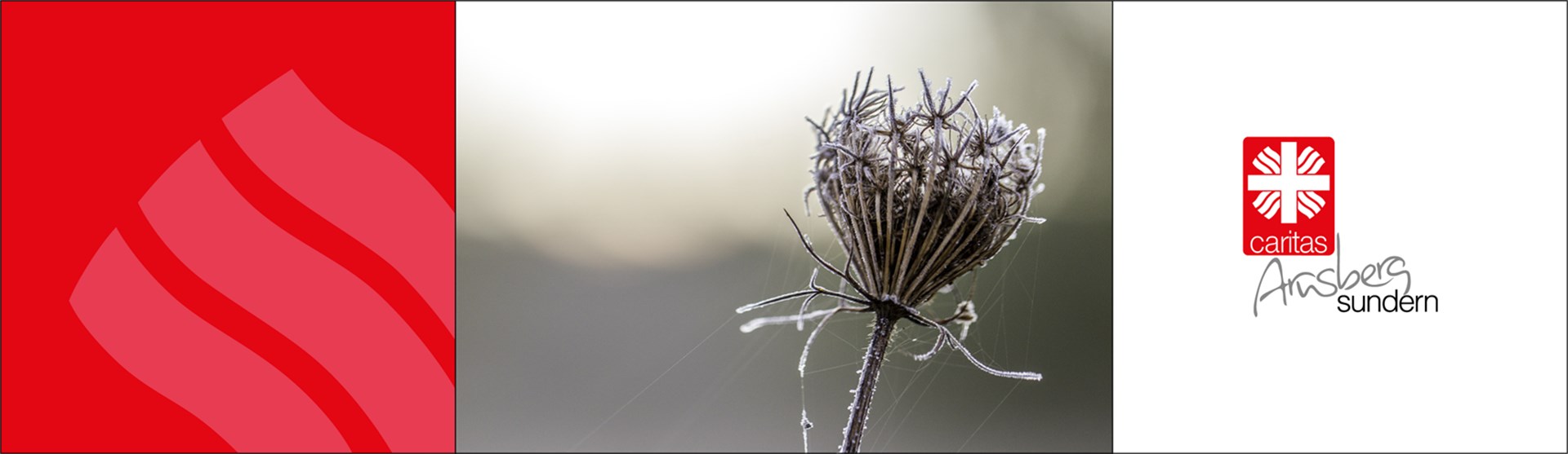Header_Kondolenzspende
