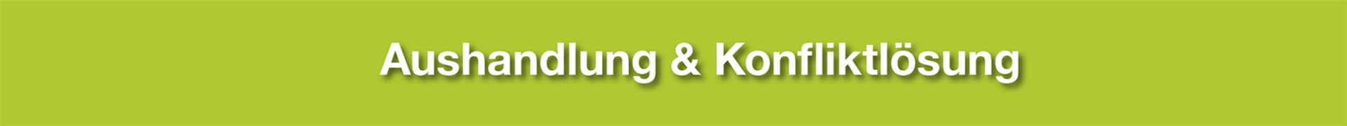 Fokus_Aushandlung_Konfliktloesung